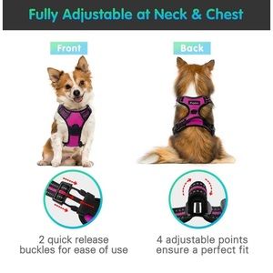 Igloo dog harness